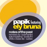 PAPIK feat. ELY BRUNA - Notes of the past